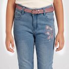 Girls Light Blue Skinny Fit Embroidered Jeans, Light Blue, small