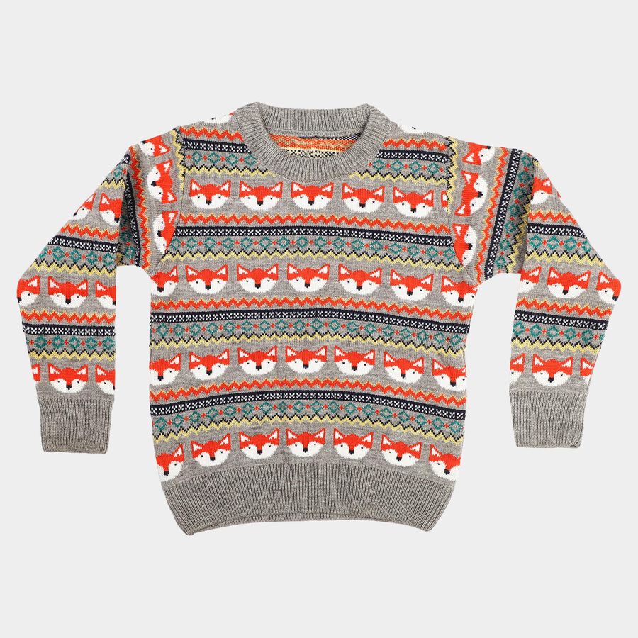 Boys Grey Crew Neck Printed Pullover, Light Grey, large