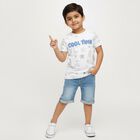 Boys White Cotton Round Neck Casual T-Shirt, White, small image number null