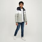Boys Light Sage Green and Navy Hooded Puffer Jacket, हल्का हरा, small image number null