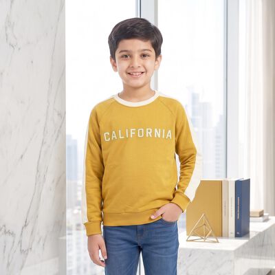 Boys' Mustard Crew Neck Raglan Sleeve Graphic Print Sweatshirt