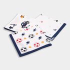 Boys' 100% Cotton Hanky , White, small image number null