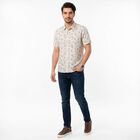 Men's Brown Cotton Spread Collar Regular Fit Shirt, Brown, small