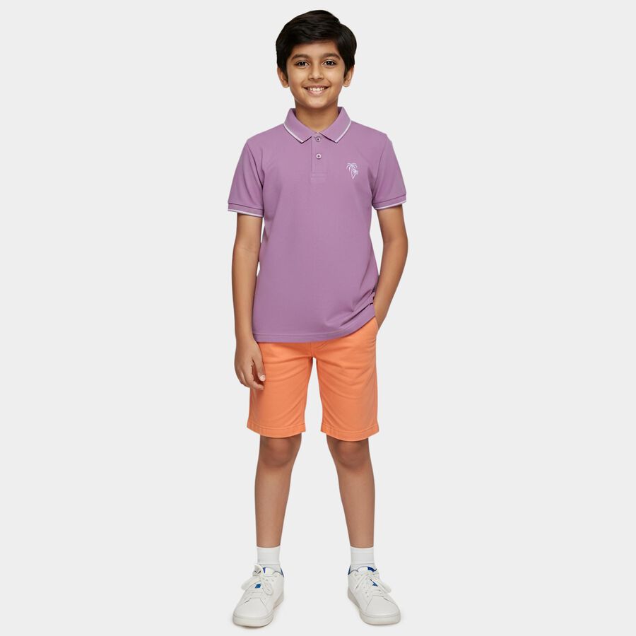 Boys' Lilac Cotton Polo Collar Preppy T-Shirt, लाइलेक, large