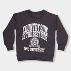 Boys Charcoal Crew Neck Casual Sweatshirt, चारकोल, small image number null