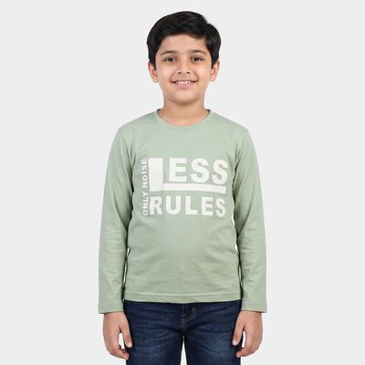 Boys' Sage Green Round Neck Regular Boys T-Shirt