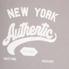 Boys' Light Grey Crew Neck Casual T-Shirt, Light Grey, small image number null