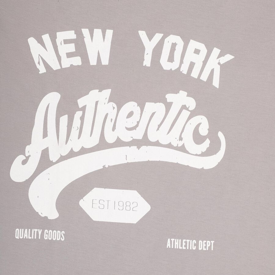Boys' Light Grey Crew Neck Casual T-Shirt, Light Grey, large image number null