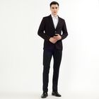 Men's Deep Wine Slim Fit Single-Breasted Blazer, वाइन, small image number null