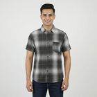 Men's Olive Green Cotton Button Down Casual Shirt, Olive, small