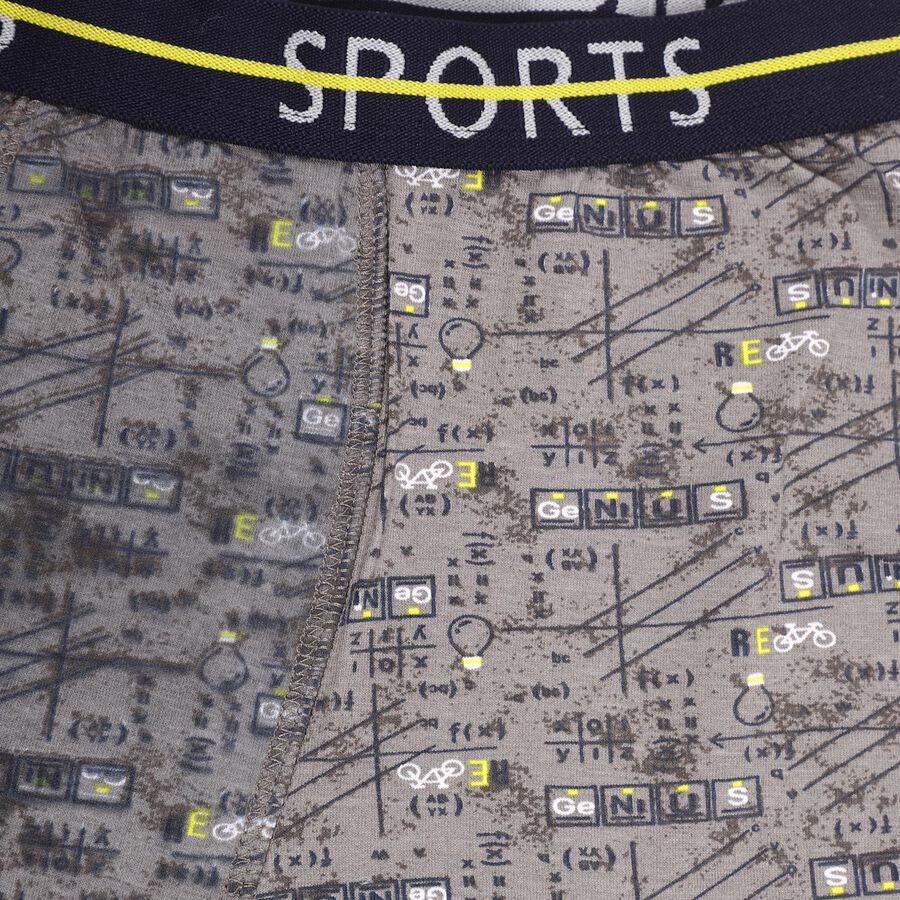 Boys Muted Grey Regular Fit Printed Briefs, हल्का ग्रे, large