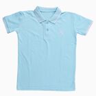 Boys' Pale Powder Blue Crew Neck Casual T-Shirt, हल्का नीला, small
