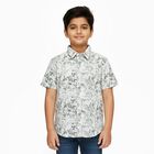 Boys Light Sage Green and White Cotton Half Sleeve Classic Collar Casual Shirt, Light Green, small image number null