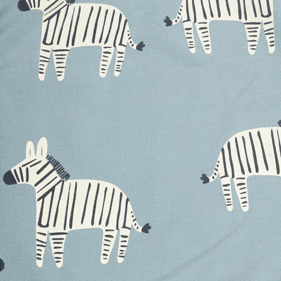 Infants Baby Blue Round Neck Regular Fit Sweatshirt, Teal Blue, large image number null