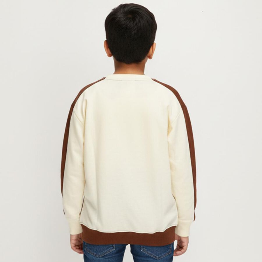 Boys' Sweatshirt, भूरा, large image number null