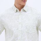 Men's Light Sage Green Cotton Regular Collar Casual Shirt, Light Green, small image number null