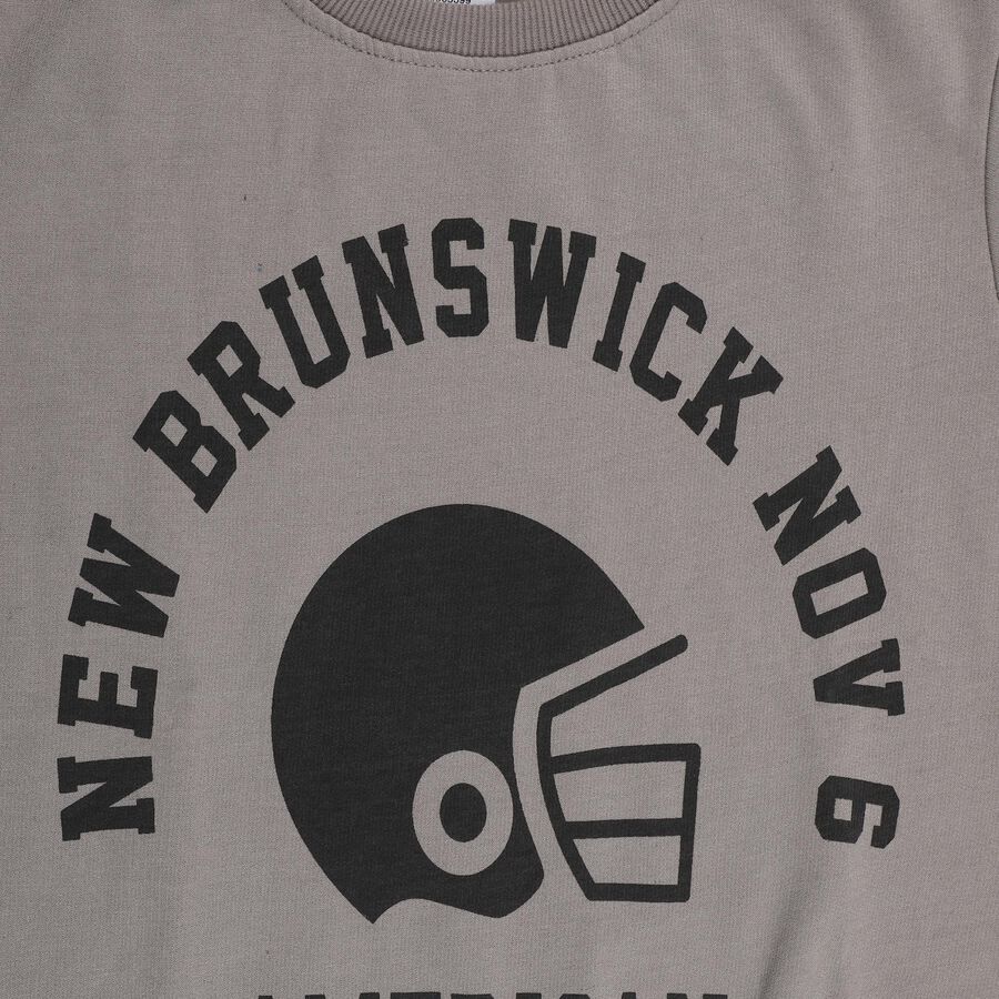 Boys Light Grey Crew Neck Graphic Sweatshirt, Light Grey, large image number null