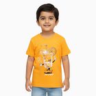 Boys Bright Orange Cotton Crew Neck Casual T-Shirt, Orange, small