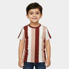 Boys' Maroon Round Neck Vertical Striped T-Shirt, Maroon, small