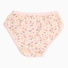 Girls' 100% Cotton Panty, मूँगा (कोरल), small image number null