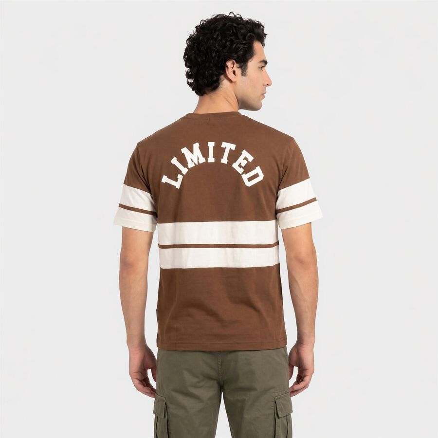 Men's Brown Round Neck Regular T-Shirt, Brown, large