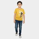 Boys Mustard Crew Neck Regular Boys T-Shirt, मस्टर्ड, small