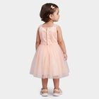 Girls' Light Pink Fit and Flare Floral Applique Party Wear Frock, Light Pink, small