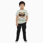 Boys Light Sage Green Cotton Crew Neck Casual T-Shirt, हल्का हरा, small image number null