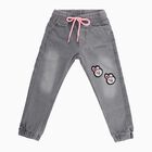 Girls' Muted Grey Jogger Fit Embroidered Jeans, हल्का ग्रे, small image number null