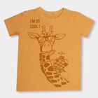 Boys' 100% Cotton Half Sleeves T-Shirt, Orange, small image number null