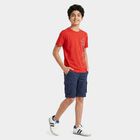 Boys Red Round Neck Regular Boys T-Shirt, लाल, small