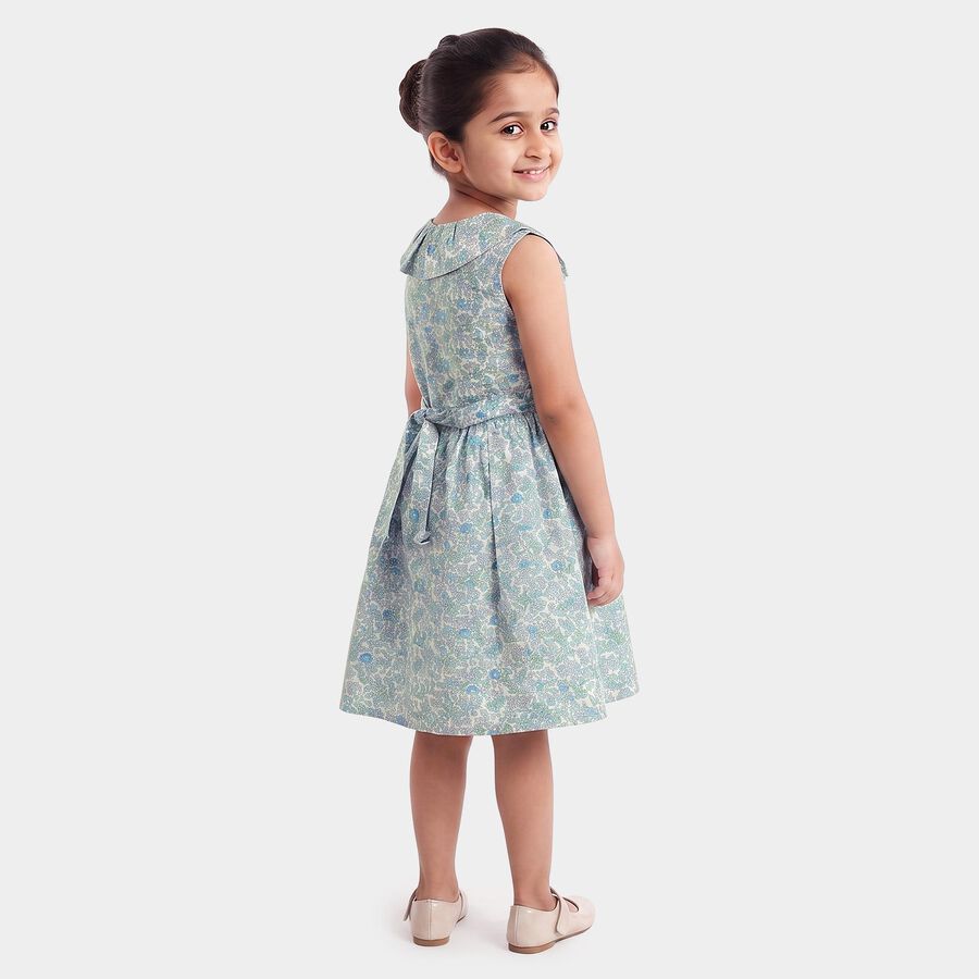 Girls' Light Blue Floral Printed Fit and Flare Frock, Light Blue, large