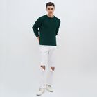 Men's Deep Forest Green Crew Neck Classic Pullover, Dark Green, small image number null
