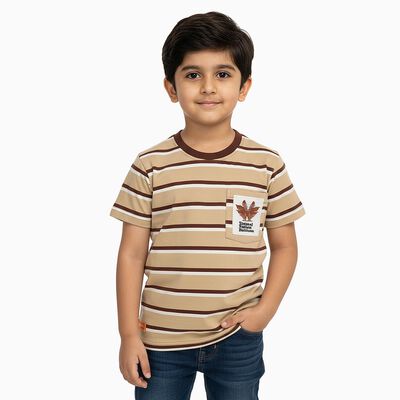 Boys Beige and Brown Crew Neck Casual T-Shirt