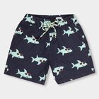 Boys' 100% Cotton Bermudas , Navy Blue, small image number null