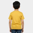 Boys Mustard Crew Neck Regular Boys T-Shirt, मस्टर्ड, small