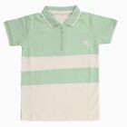 Boys' 100% Cotton Half Sleeves T-Shirt, Light Green, small image number null