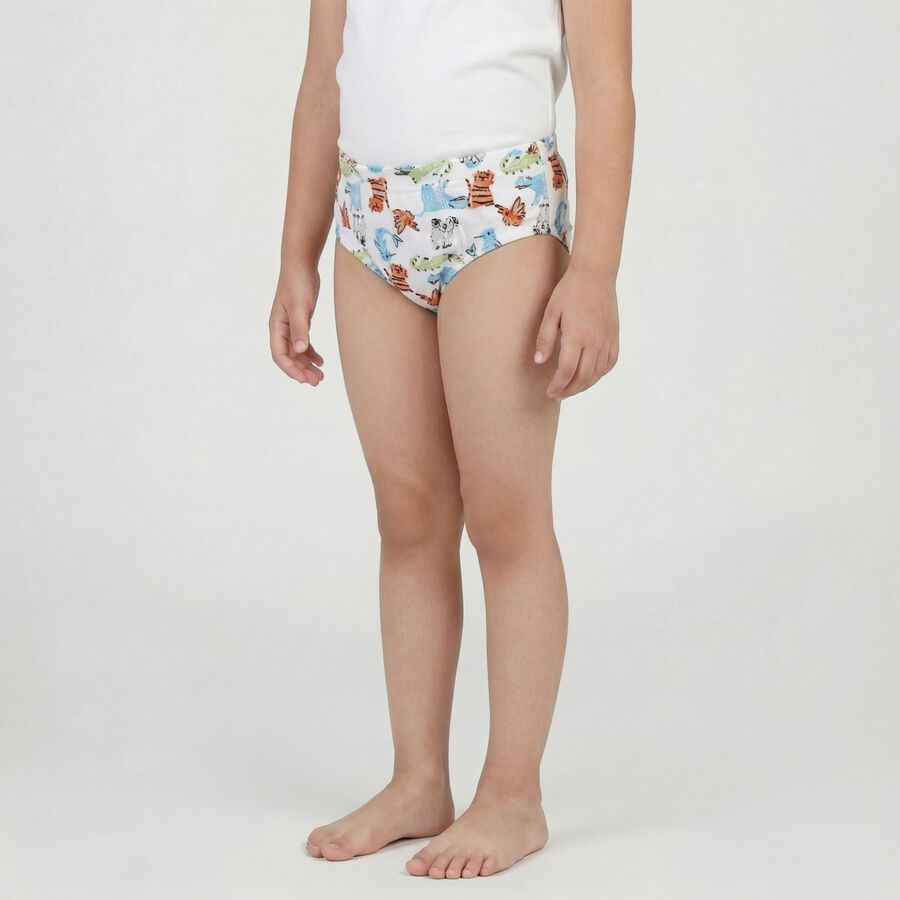 Boys White Regular Fit Printed Briefs, Off White, large