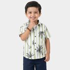 Boys Green Cotton Half Sleeve Classic Casual Shirt, Light Green, small