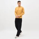 Men's Mustard Crew Neck Casual Sweatshirt, मस्टर्ड, small image number null