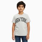 Boys Light Grey Crew Neck Casual Half Sleeve T-Shirt, Ecru Melange, small image number null