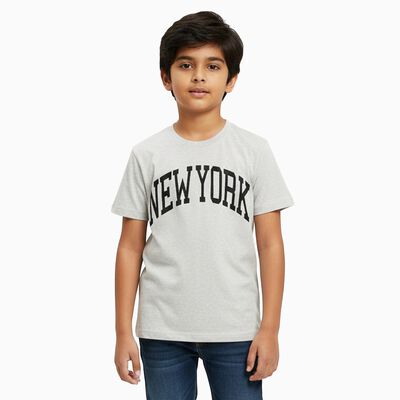 Boys Light Grey Crew Neck Casual Half Sleeve T-Shirt