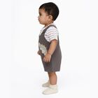 Infants' Grey Cotton Round Neck Dinosaur Applique Baba Suit, Charcoal, small image number null