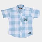 Boys Light Blue Cotton Half Sleeve Classic Casual Shirt, Light Blue, small image number null