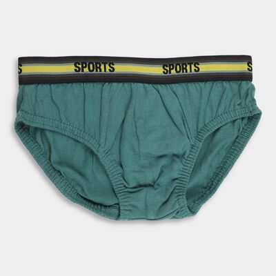 Boys' Muted Teal Green Regular Fit Briefs