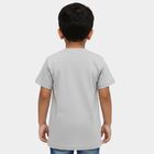 Boys Light Grey Cotton Crew Neck Casual T-Shirt, Light Grey, small