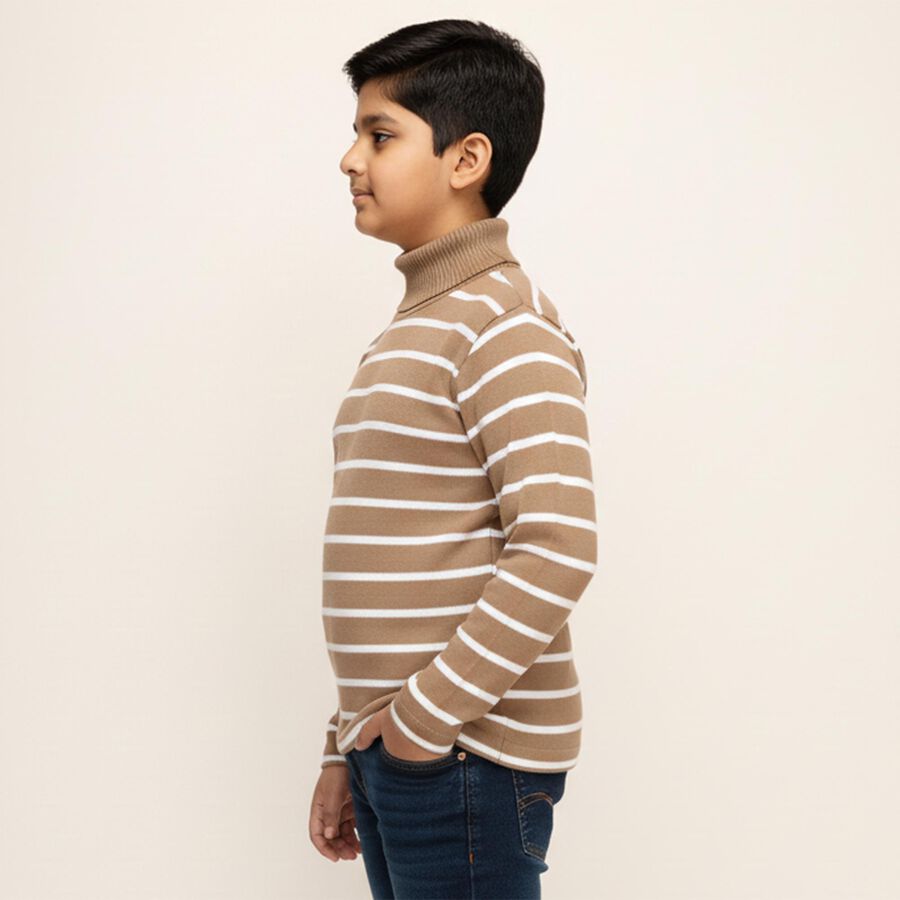 Boys Muted Beige Turtleneck Casual Pullover, Beige, large image number null