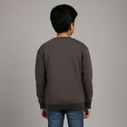 Boys' Dark Charcoal Grey Crew Neck Casual Sweatshirt, गहरा ग्रे, small image number null