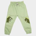 Boys' Mint Green Jogger Fit Dinosaur Pyjama, हल्का हरा, small