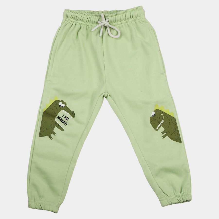 Boys' Mint Green Jogger Fit Dinosaur Pyjama, हल्का हरा, large
